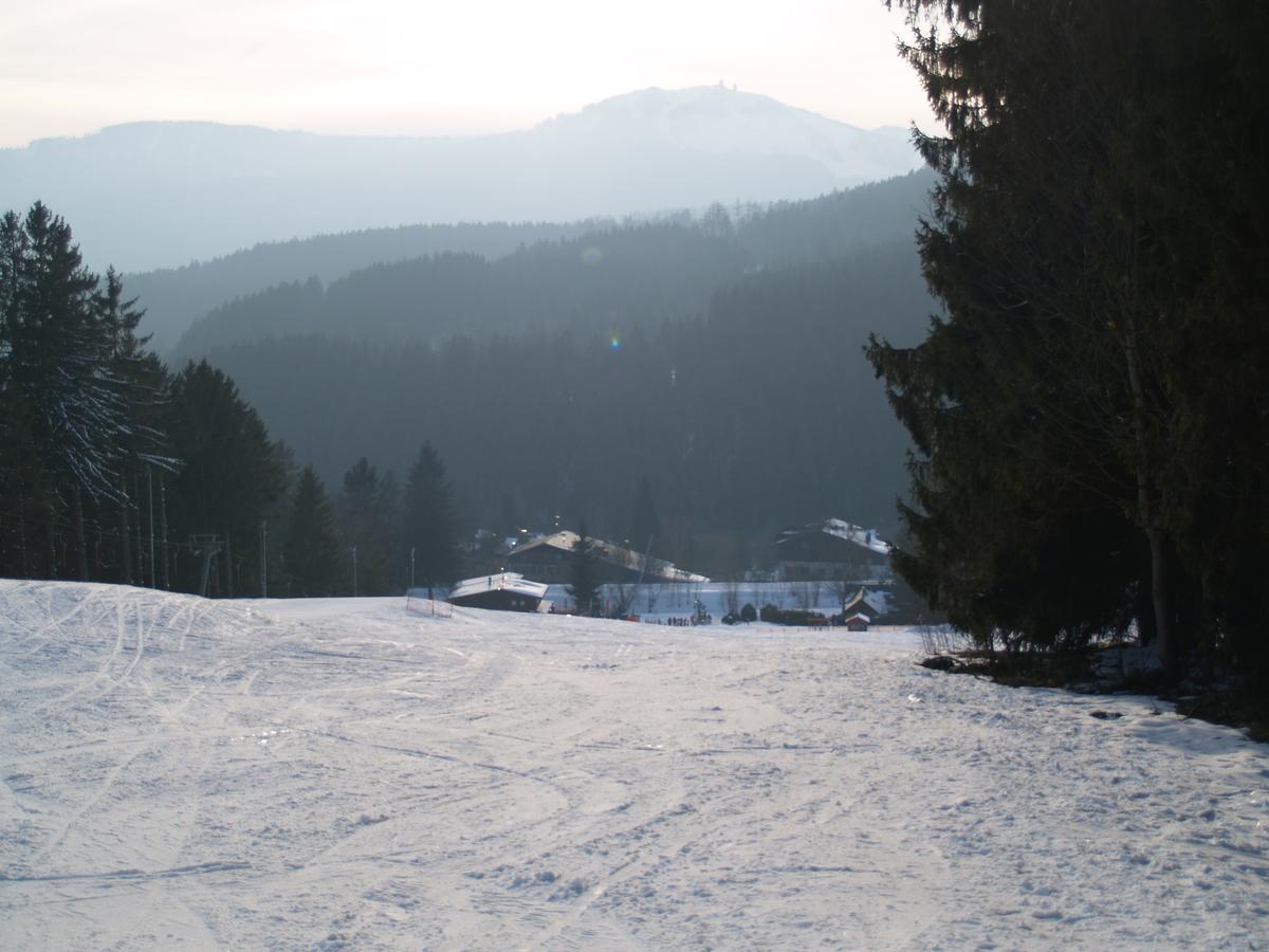 Chata Obzor Železná Ruda Exteriör bild